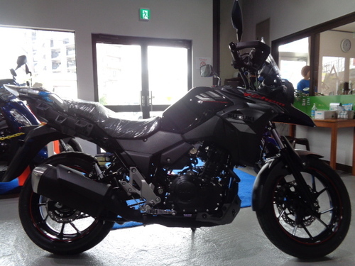 スズキ Vストローム250 価格: ASK